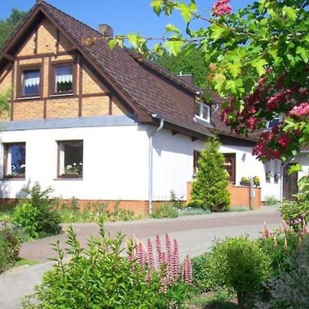 Fewo Im Herzen Der Insel Bergen Auf Rugen Esterno foto